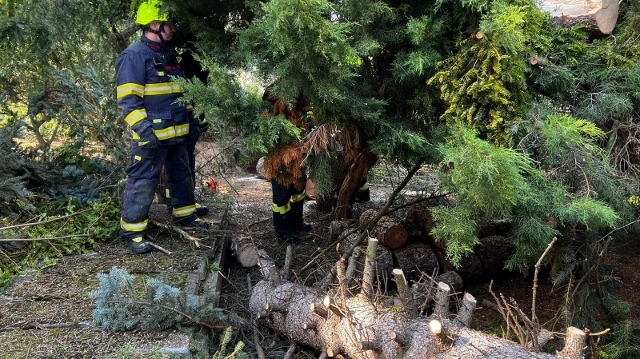 Foto: Na střechu školky v Boleticích nad Labem spadl strom. Nebyl to v sobotu jediný výjezd místních hasičů