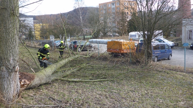 Foto: V Jílovém došlo k pádu dvou stromů. Jeden z nich spadl v Zámeckém parku na cestu