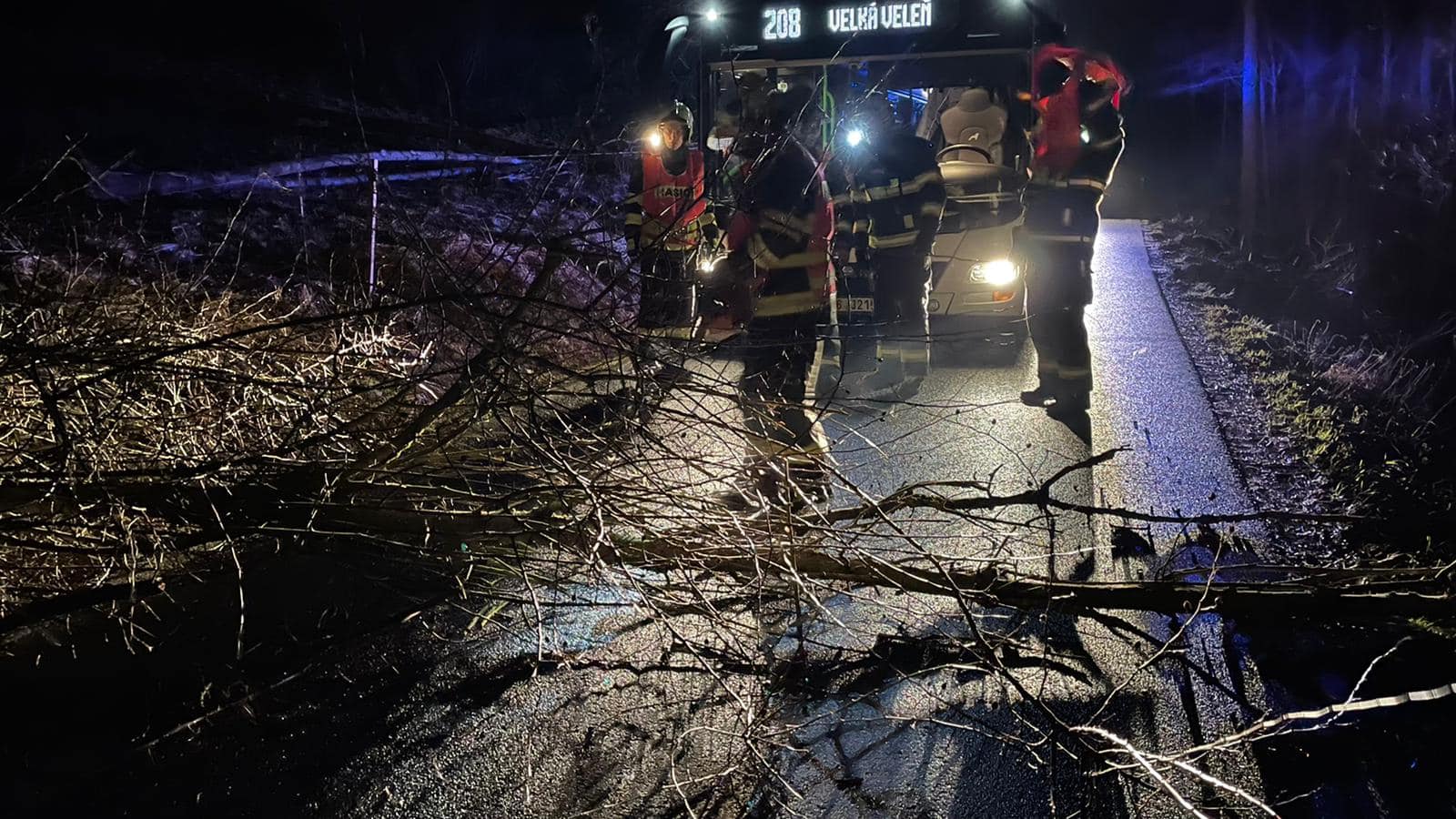 Foto: U Lesné na Děčínsku spadl strom na vozovku. Silnice byla neprůjezdná