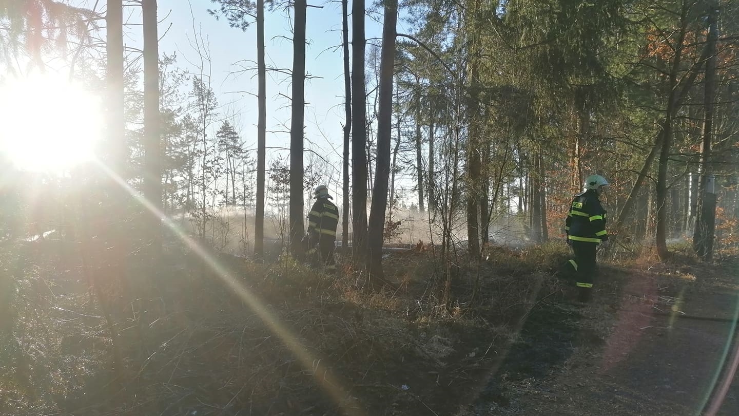 Foto: Strom spadl na dráty elektrického vedení od kterých pak chytil les. Na místo vyjely tři jednotky hasičů