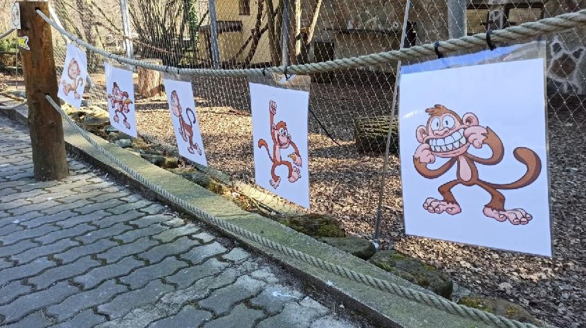 Foto: O jarních prázdninách na šipkovanou do zoo