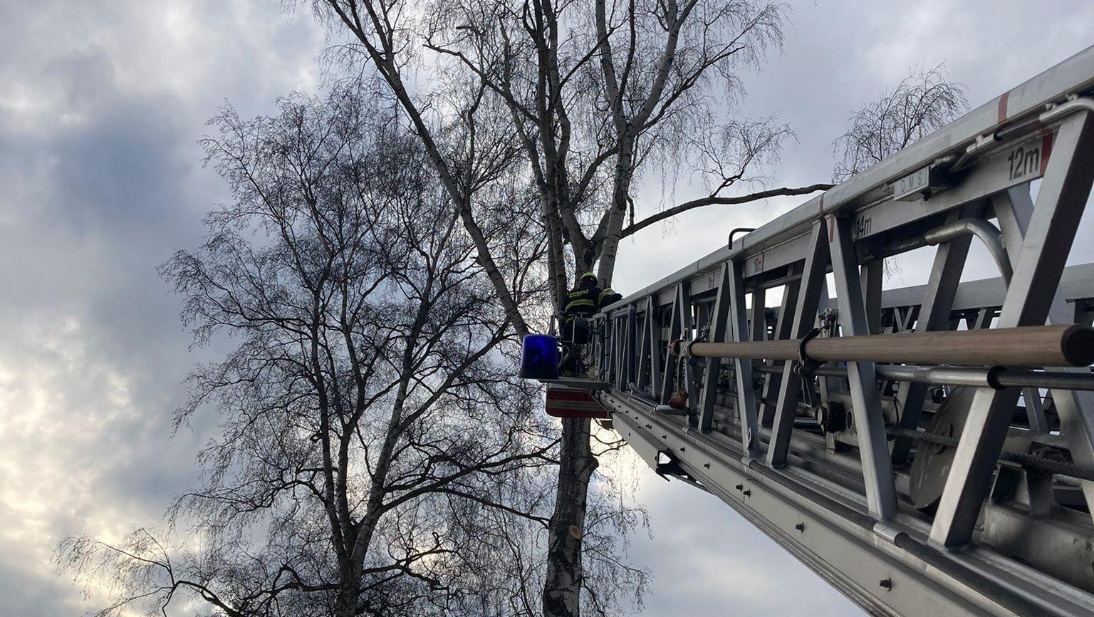 Foto: Hasiči museli pokácet strom u parkoviště. Hrozil jeho pád