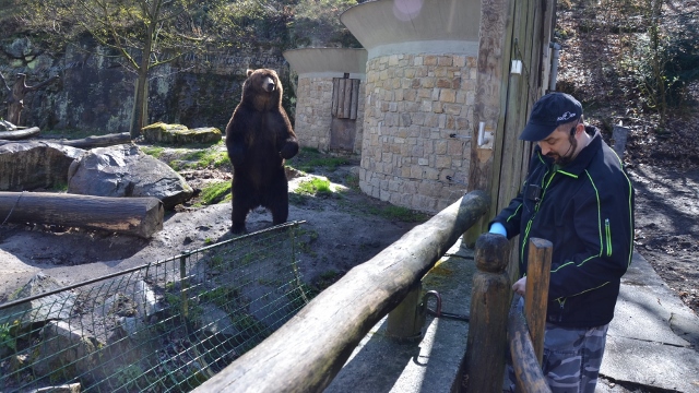 OBRAZEM: Děčínská zoo symbolicky zahájila svoji 73. návštěvnickou sezónu