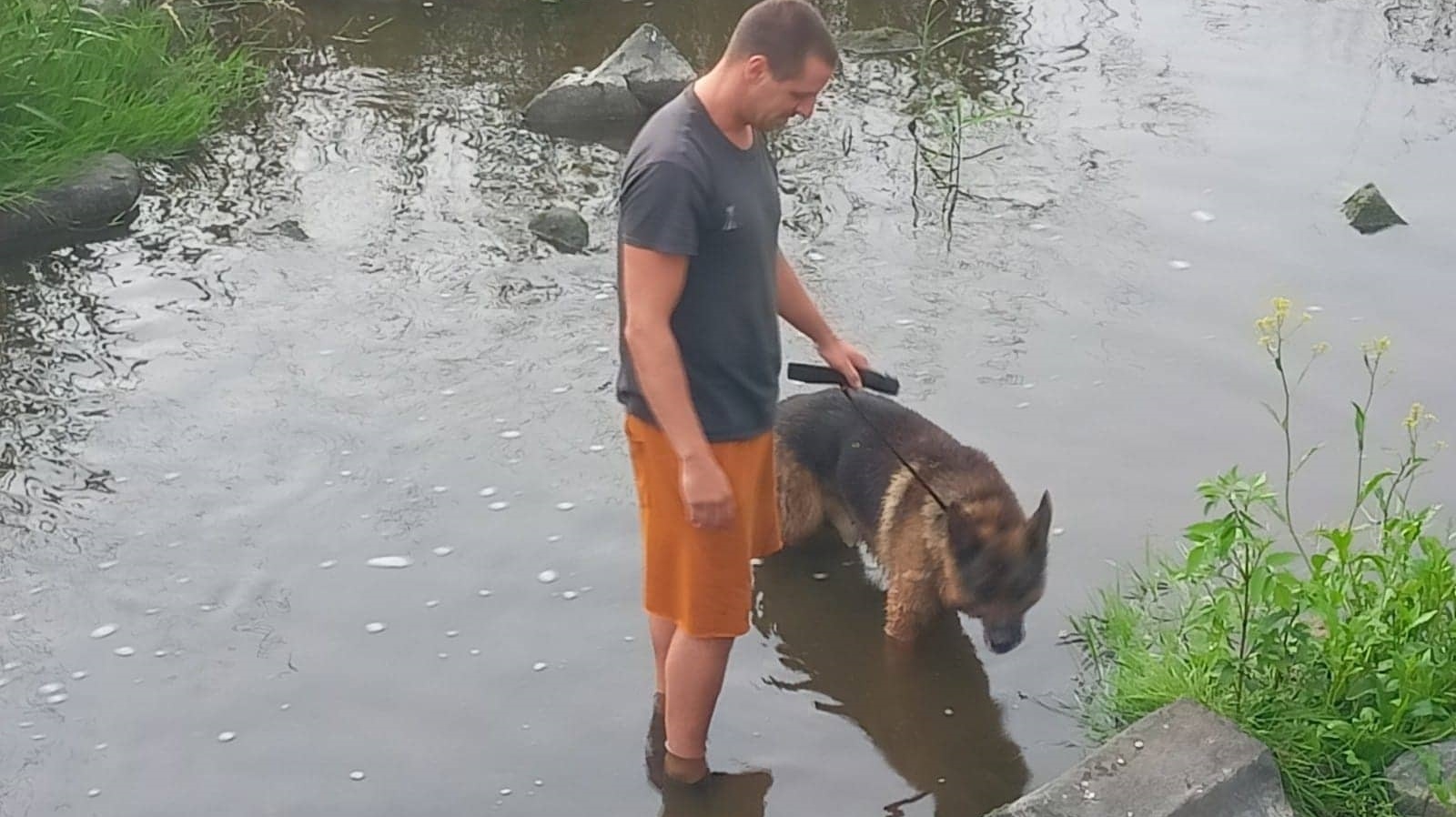 Foto: V Jílovém se po noční bouřce hledalo za pomoci místní policie několik psů. Jeden byl v korytě Jílovského potoka