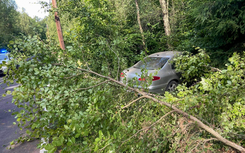 Auto při havárii na Děčínsku zpřeráželo stromy. Uvnitř nikoho nenašli