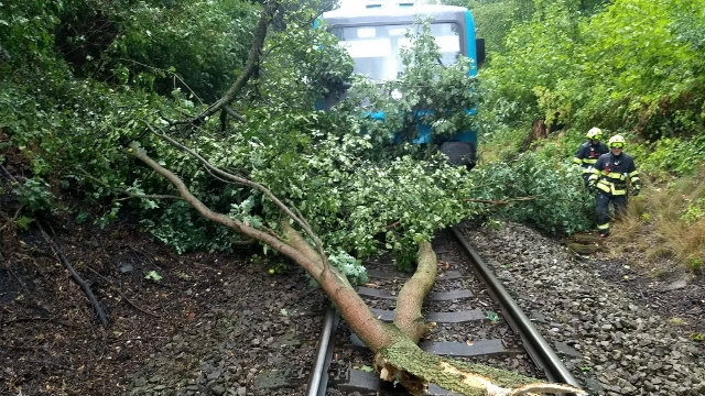 OBRAZEM: Vlak v Děčíně narazil do stromu. Na místo vyjeli hasiči i policisté