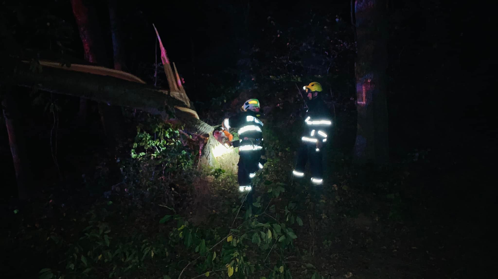 Foto: Hasiči vyjížděli v úterý večer do Hoštic, kde spadl strom přes cestu