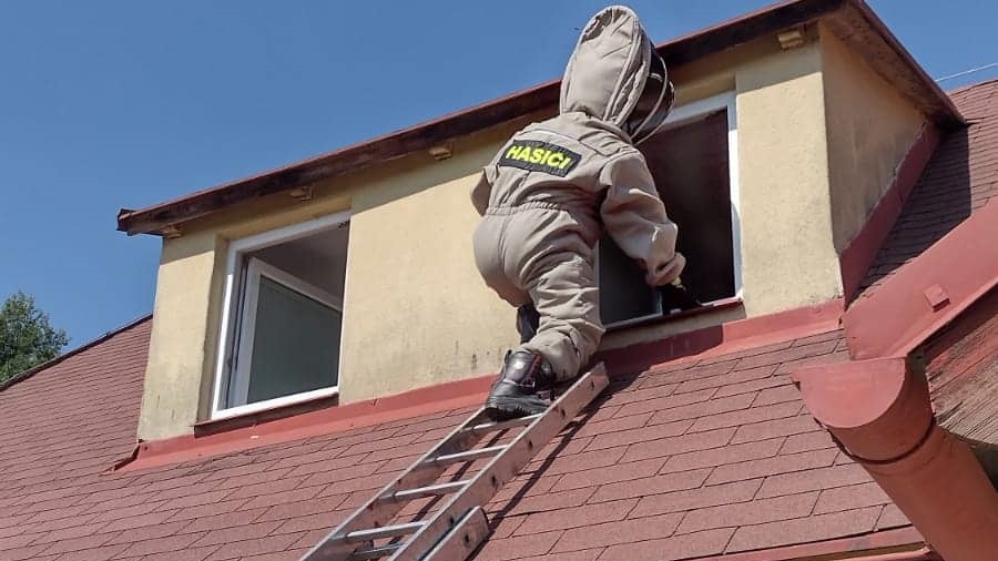 Foto: Hasiči vyjížděli odstranit sršní hnízdo v areálu chaty Mír. V objektu je nyní dětský tábor