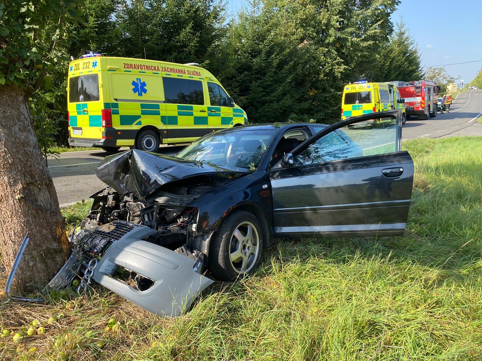 Foto: Auto ve Velkém Šenově narazilo do stromu, dva lidé zraněni