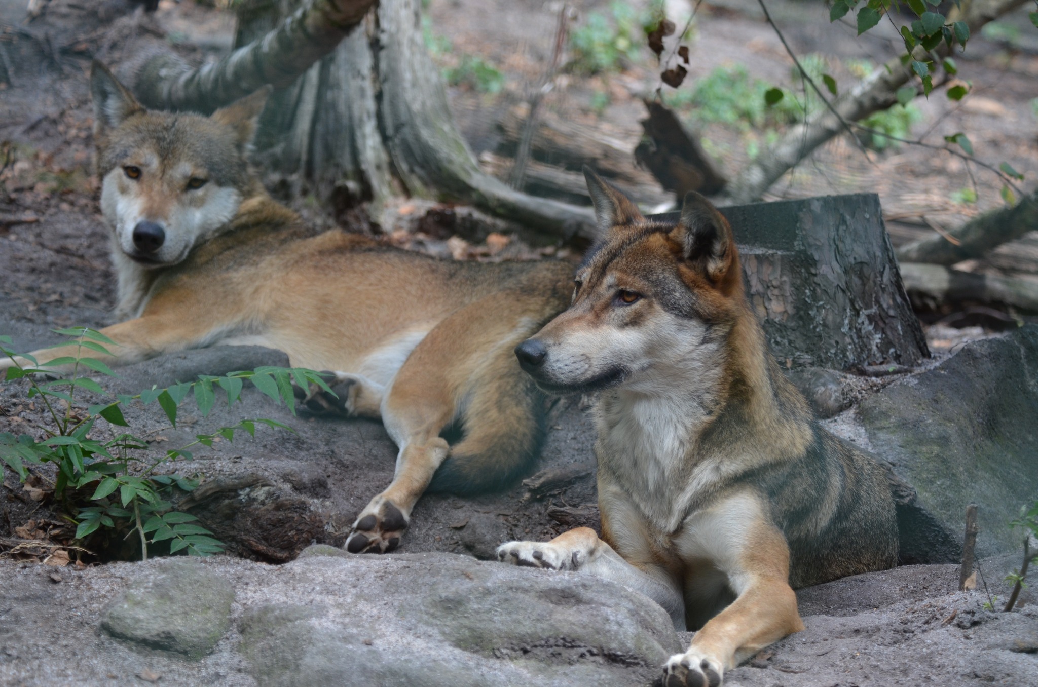 ZooŠkola děčínské zoo spouští od října nový výukový program 