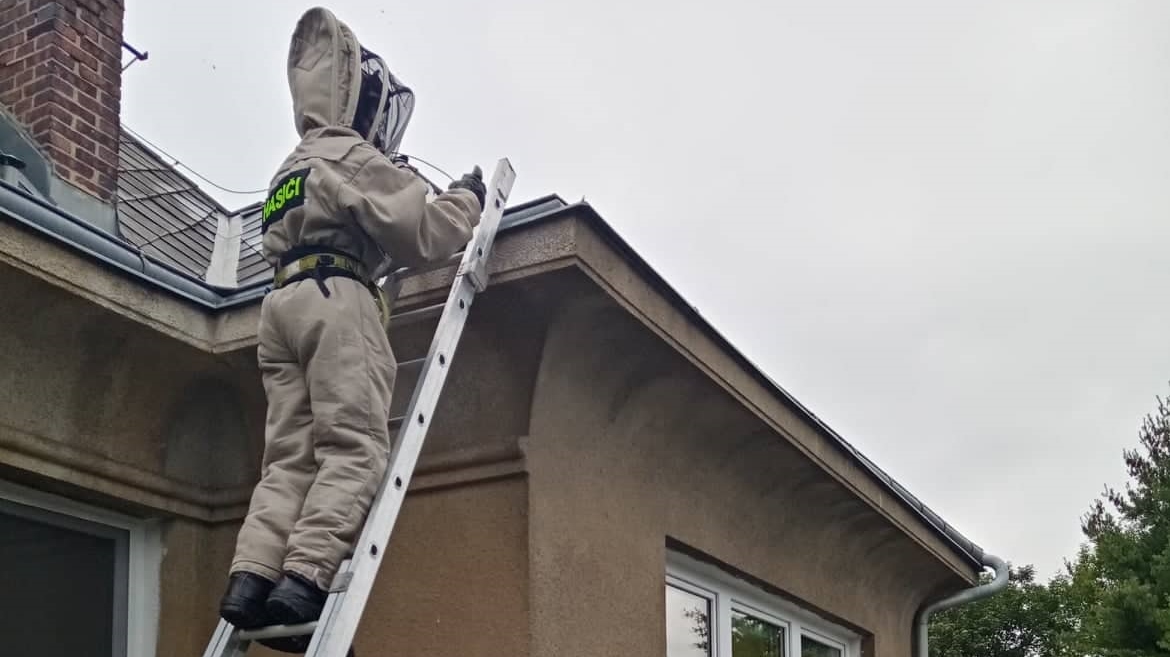 Foto: Hasiči z Jílového vyjeli ve středu ráno odstranit vosí hnízdo z budovy v areálu školky