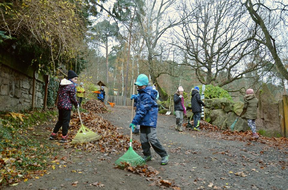 Děčín - Přijďte si nahrabat do zoo: Zoo vyhlásila podzimní brigádu pro školy 