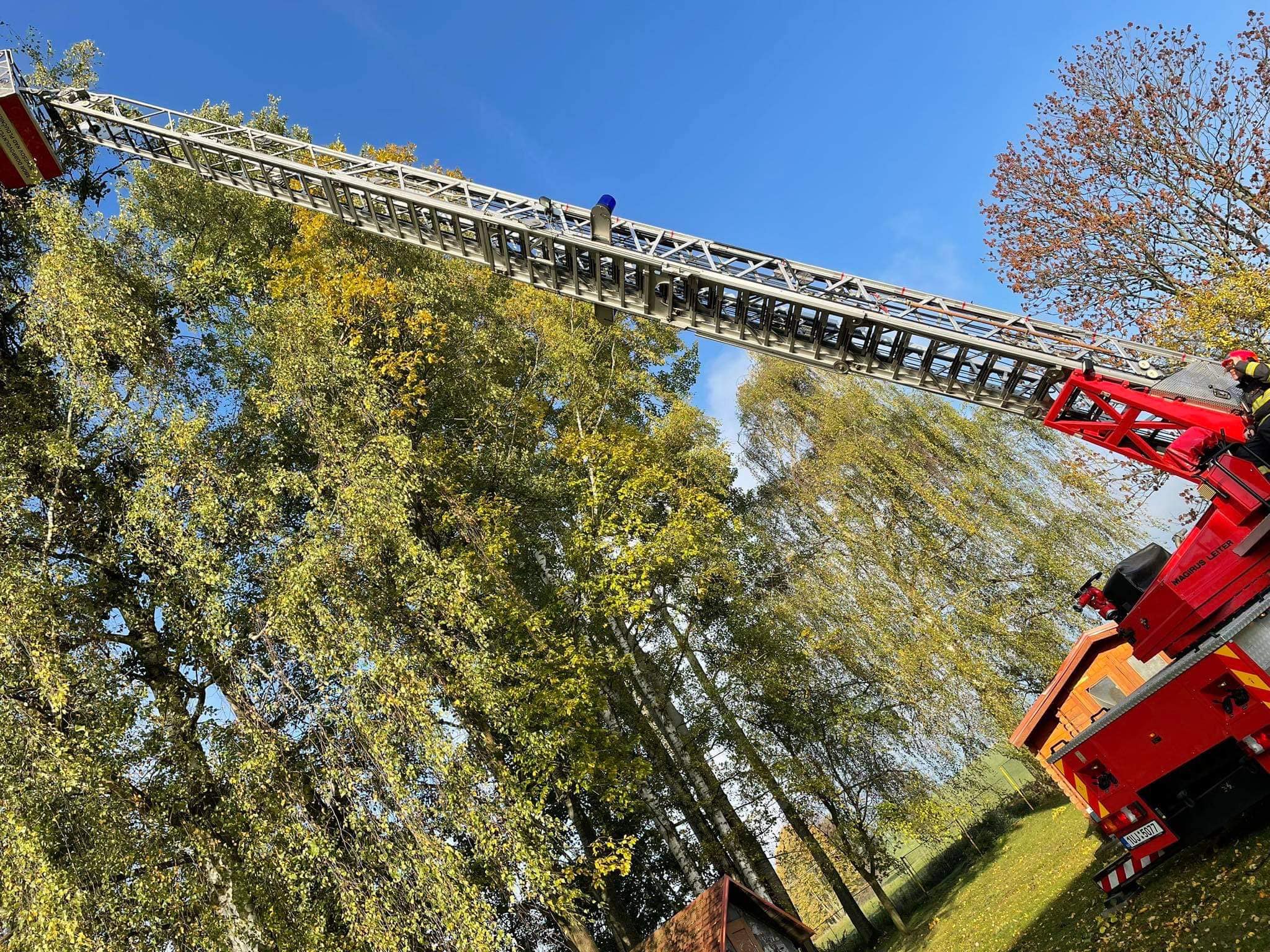 Dobrná: Strom hrozil pádem na školní budovu. Hasiči provedli pokácení