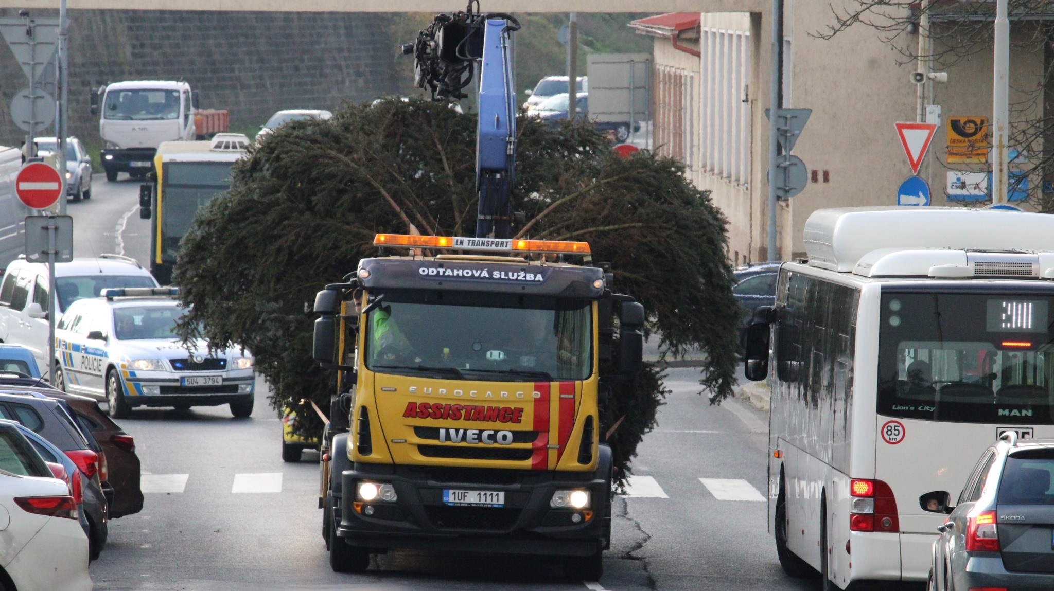 OBRAZEM: V pondělí a v úterý probíhá po městě postupná instalace vánočních stromů