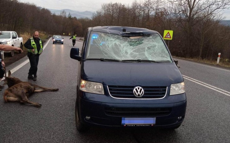 AKTUÁLNĚ: Na třináctce mezi Ludvíkovicemi a Huntířovem došlo ke srážce auta se zvěří