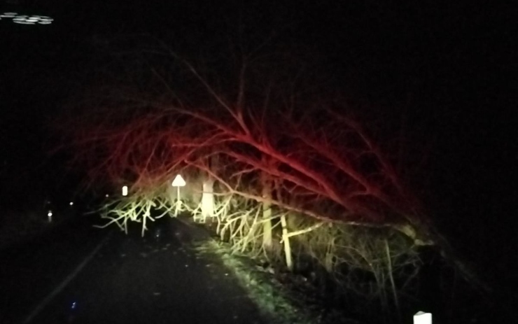 Silný vítr v noci polámal stromy a větve, hasiči zasahovali u jednadvaceti událostí