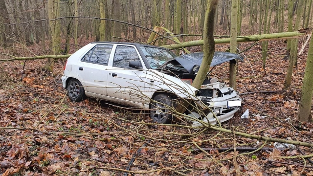 Foto: Řidič narazil s autem do stromu, prý se mu za jízdy udělalo špatně