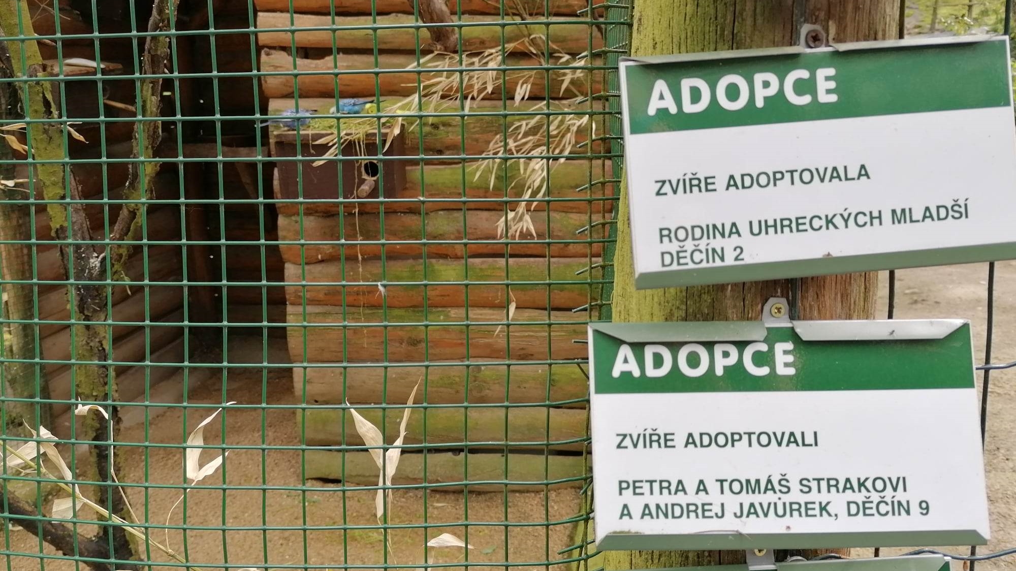 O adopci zvířat v děčínské zoo je zájem