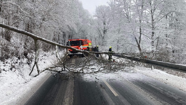 Foto: Hasiči vyjeli k odstranění stromu, který spadl ve Valkeřicích přes silnici