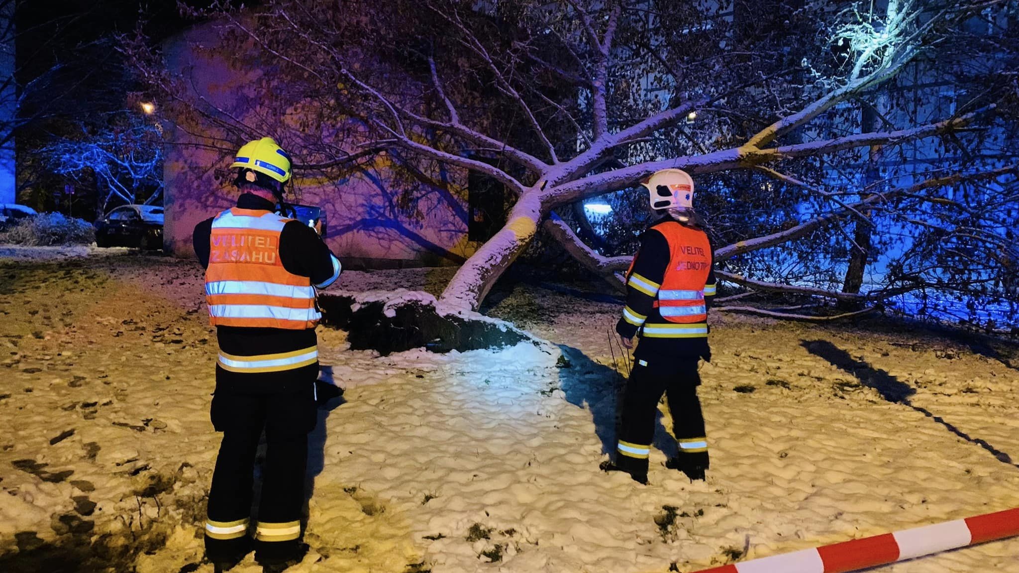 OBRAZEM: Uprostřed sídliště došlo k pádu stromu. Na místo vyjeli hasiči