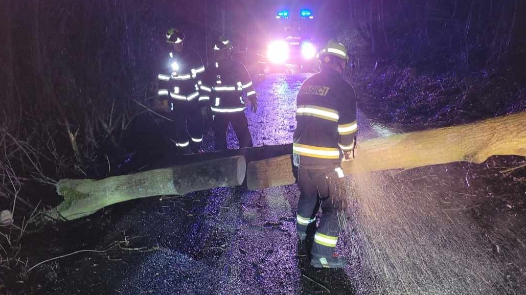 Foto: V Ústeckém kraji ve středu večer zasahovali hasiči u čtrnácti událostí, nejvíce to bylo na Litoměřicku. Jednalo se hlavně o spadlé stromy