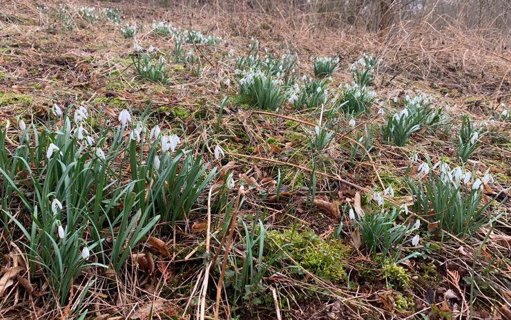 FOTO: Na jednom konci kraje sníh, na druhém jaro. Podívejte se, kde kvetou rostliny a kde ještě postavíte sněhuláka