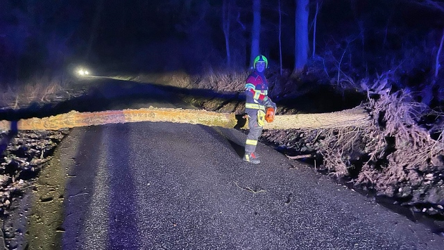 Foto: V Blankarticích spadl strom přes silnici. Odstranit ho vyjeli hasiči