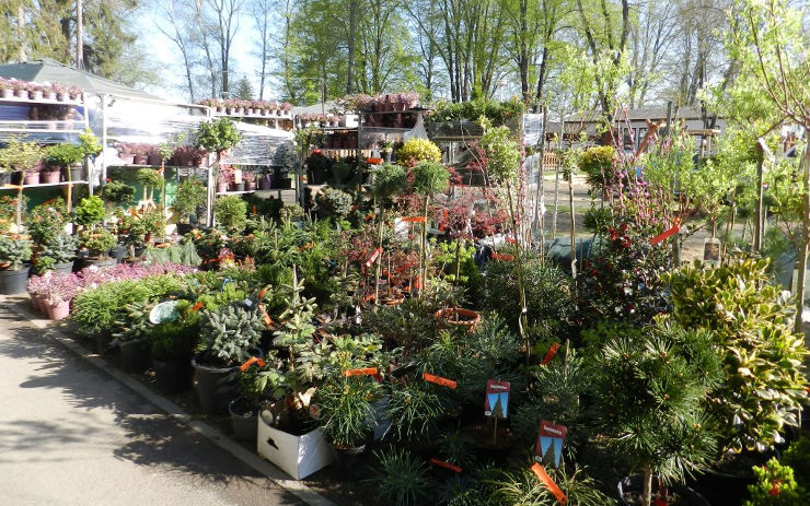 V Lounech se uskuteční největší květinový svátek na severu Čech, výstava Dům a zahrada
