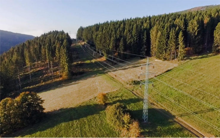 Lesy ČR a ČEZ chtějí společně předejít výpadkům elektřiny, společnosti se dohodly na spolupráci