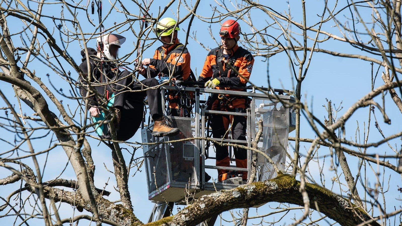 Foto: K paraglidistovi uvízlému na stromě vyjely ve středu odpoledne tři jednotky hasičů