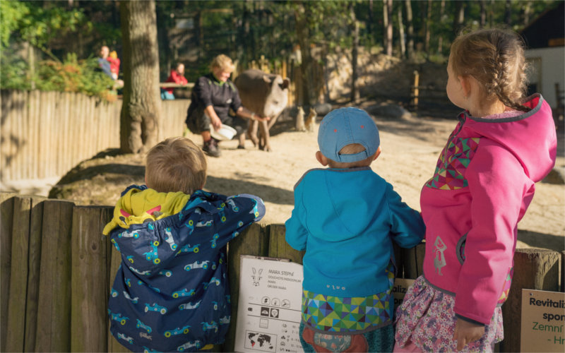Oslavte Den dětí v zoo! Návštěvníci do patnácti let budou mít vstup jen za deset korun