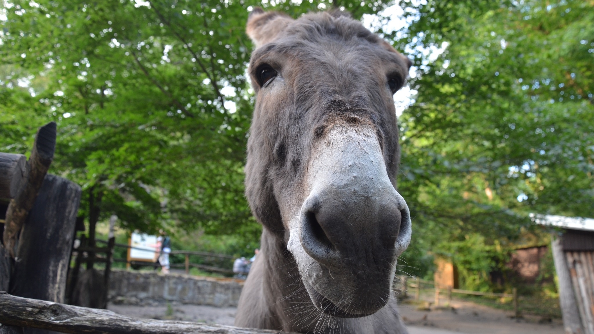 Dárci krve mohou ve středu do děčínské zoo zdarma