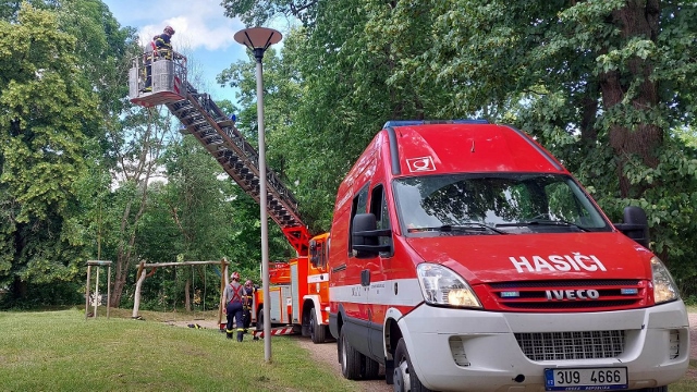 Foto: Vyvrácený strom hrozil pádem na dětské hřiště u zámku. Hasiči pak pokáceli další dva nezdravé stromy