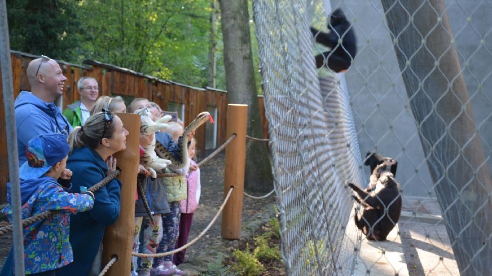 Prázdniny v děčínské zoo nabízejí i večerní prohlídky i pohádkové čtvrtky