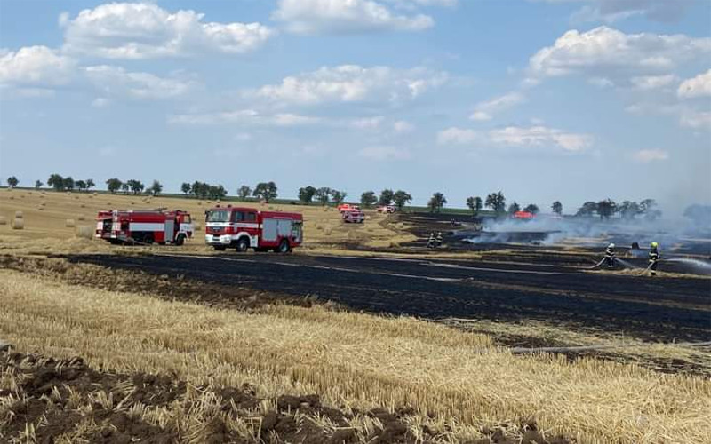 VÝSTRAHA: Kvůli suchu a vysokým teplotám hrozí nebezpečí vzniku požárů, varují meteorologové