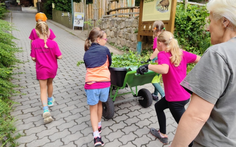 příměšták zoo děčín holky makají 2