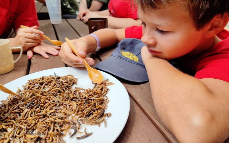 příměšták zoo děčín červi