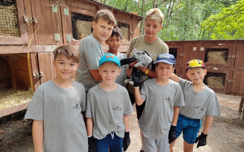 příměšťák zoo děčín králík