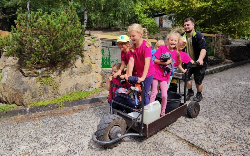 příměšťák zoo děčín vozík