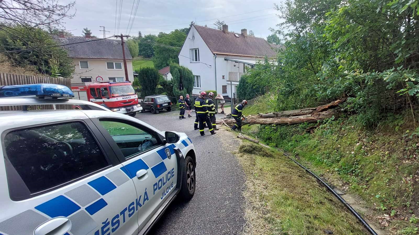 Foto: Hasiči vyjeli odstranit spadlý strom, zčásti zasahoval do silnice