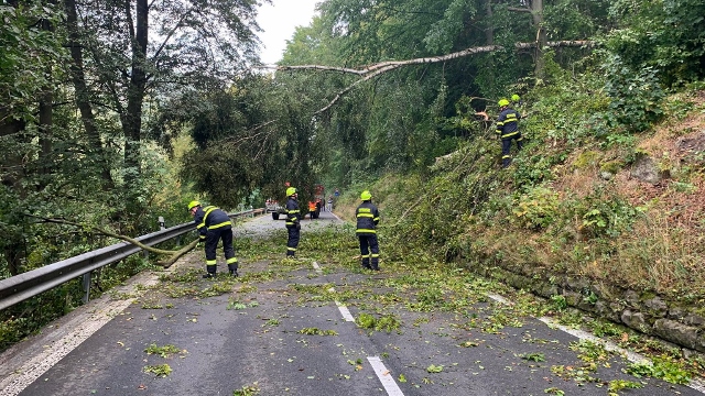 Foto: Na silnici do Hřenska spadlo v sobotu ráno několik stromů. O odstranění se postarali místní hasiči