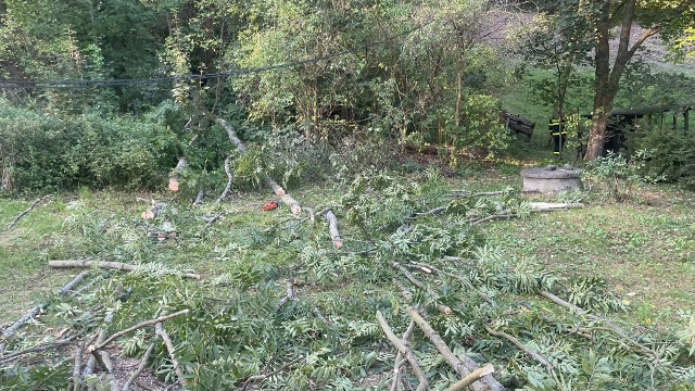 Foto: Dvě jednotky hasičů vyjely k pádu stromů na telefonní dráty