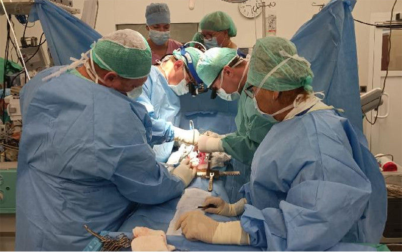 VIDEO: Ústečtí kardiochirurgové poprvé implantovali zevní oporu aortálního kořene