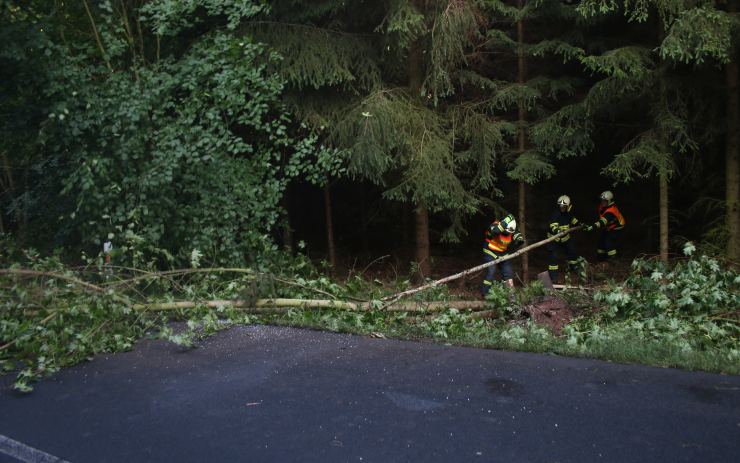 Stromy vyvrácené po nehodě u Holedeče ohrožovaly další řidiče