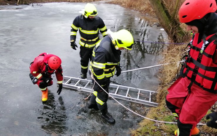 VIDEO: Zamrzlá tůňka sloužila hasičům jako cvičiště. Tahali z vody své kolegy