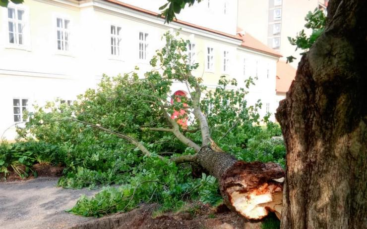 AKTUÁLNĚ: Silný vichr rozlomil část mohutného stromu. Zřítil se přes cestu u zámku
