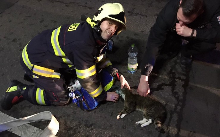 DÝCHEJ! Při ranním požáru bytu v Teplicích zachránili hasiči i tuto kočku